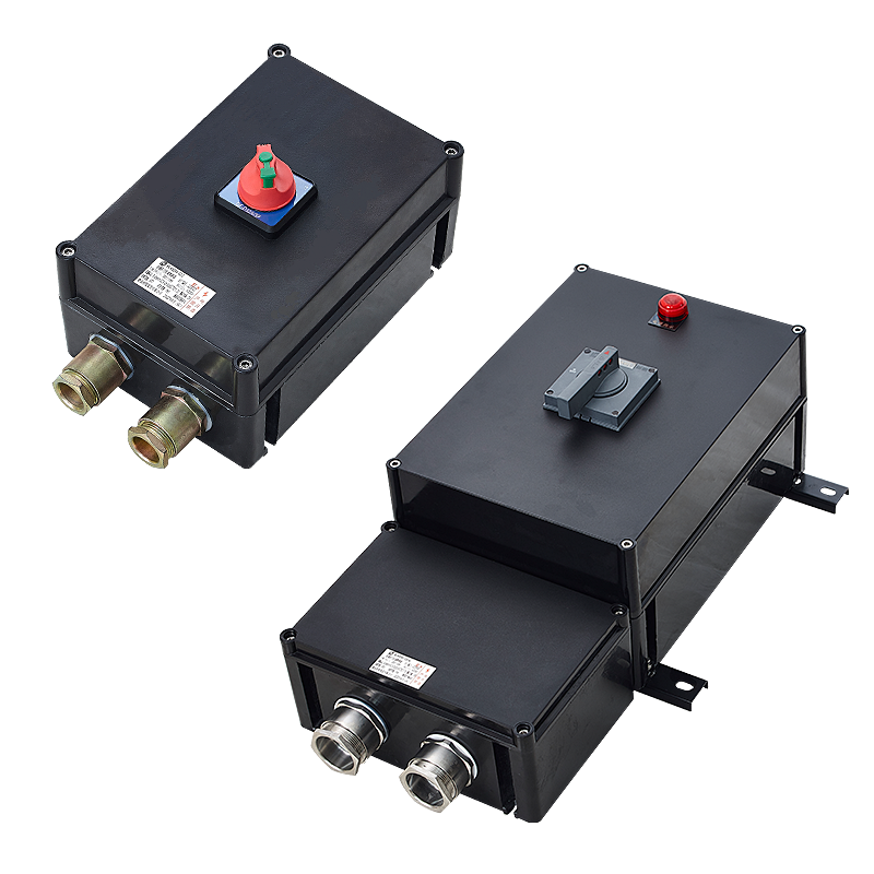 BLK8050-□/□□系列 防爆防塵防腐斷路器(ⅡB、ⅡC、ⅢC)